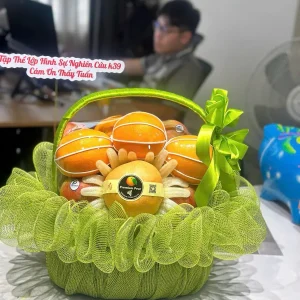 Giỏ trái cây 5b – 024