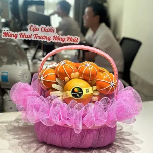 Giỏ trái cây 5b – 028