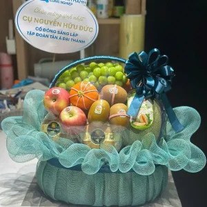 Giỏ trái cây 5b – 043