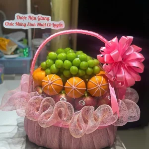 Giỏ trái cây 5b – 047