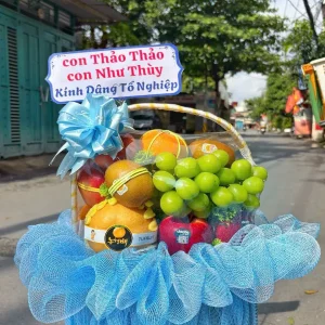 Giỏ trái cây 5b – 055
