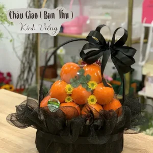 Giỏ trái cây 5b – 086
